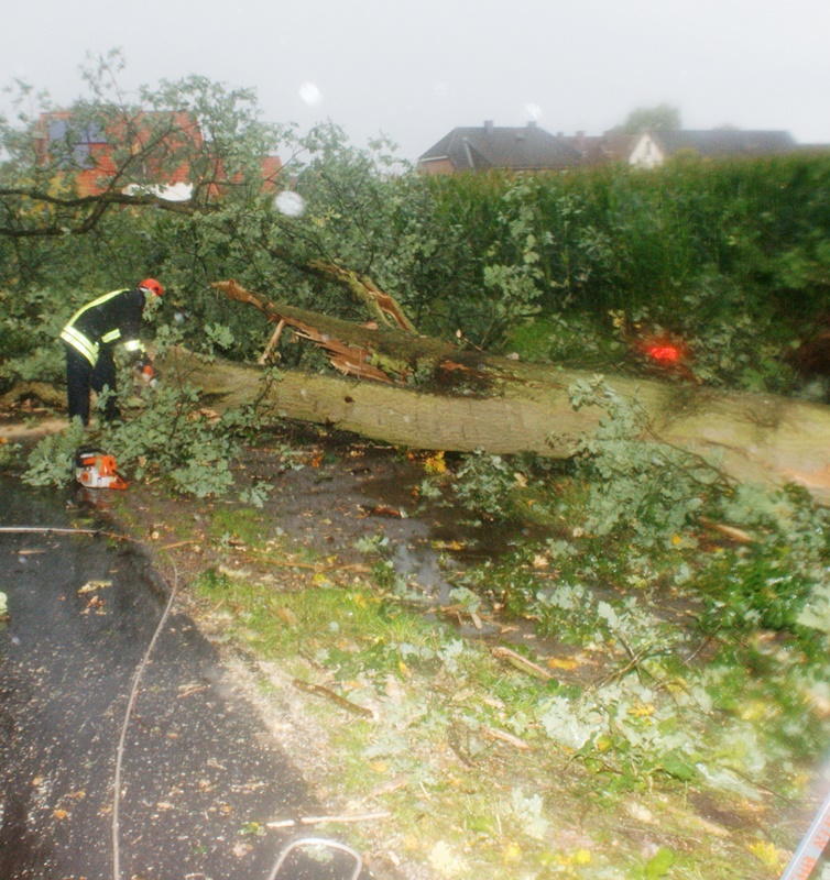 2014 09 06 Einsatz Baum 02